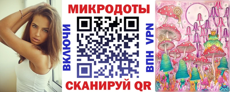 как найти   Артём  Галлюциногенные грибы мицелий 