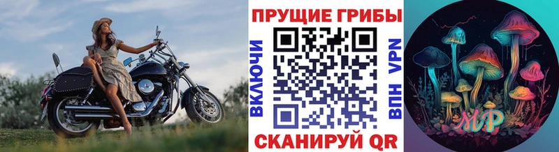 Галлюциногенные грибы Cubensis Артём